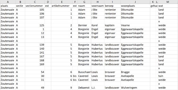 Dataset van Zoutenaaie voor QGIS