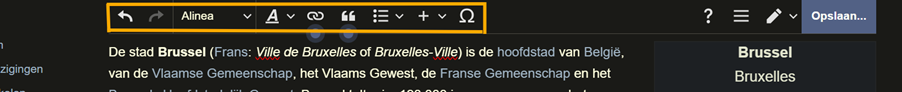 Een screenshot van het bewerkingspaneel op Wikipedia.