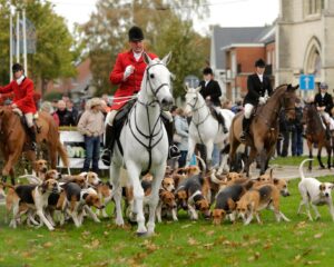 Ruiters te paard en honden tijdens de Sint-Hubertusviering Wiemesmeer