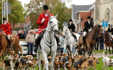 Ruiters te paard en honden tijdens de Sint-Hubertusviering Wiemesmeer